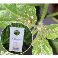 Read green gardener Reviews